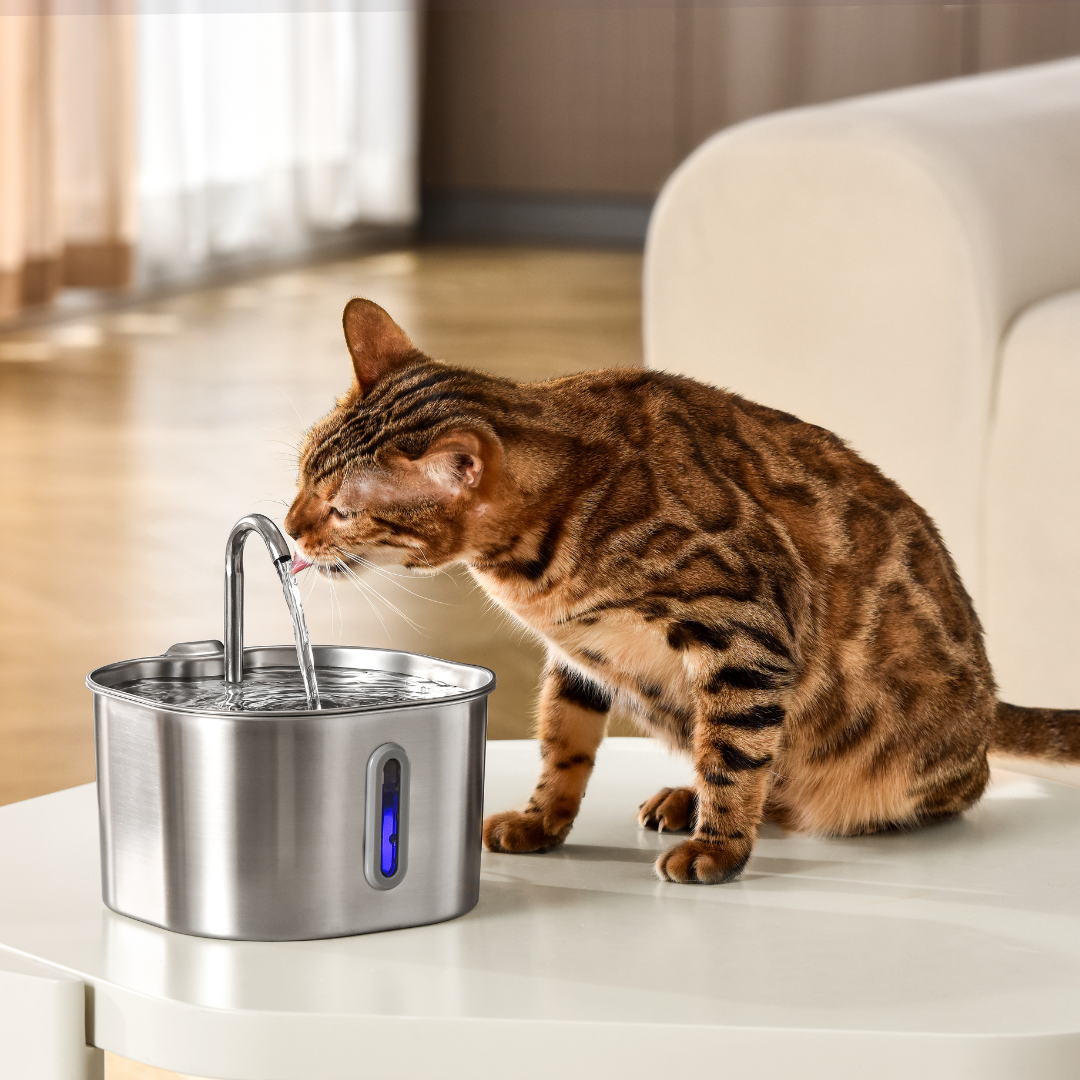 Wireless 2.0 & 2.2L Fountain Filters 4-month Prepaid Subscription