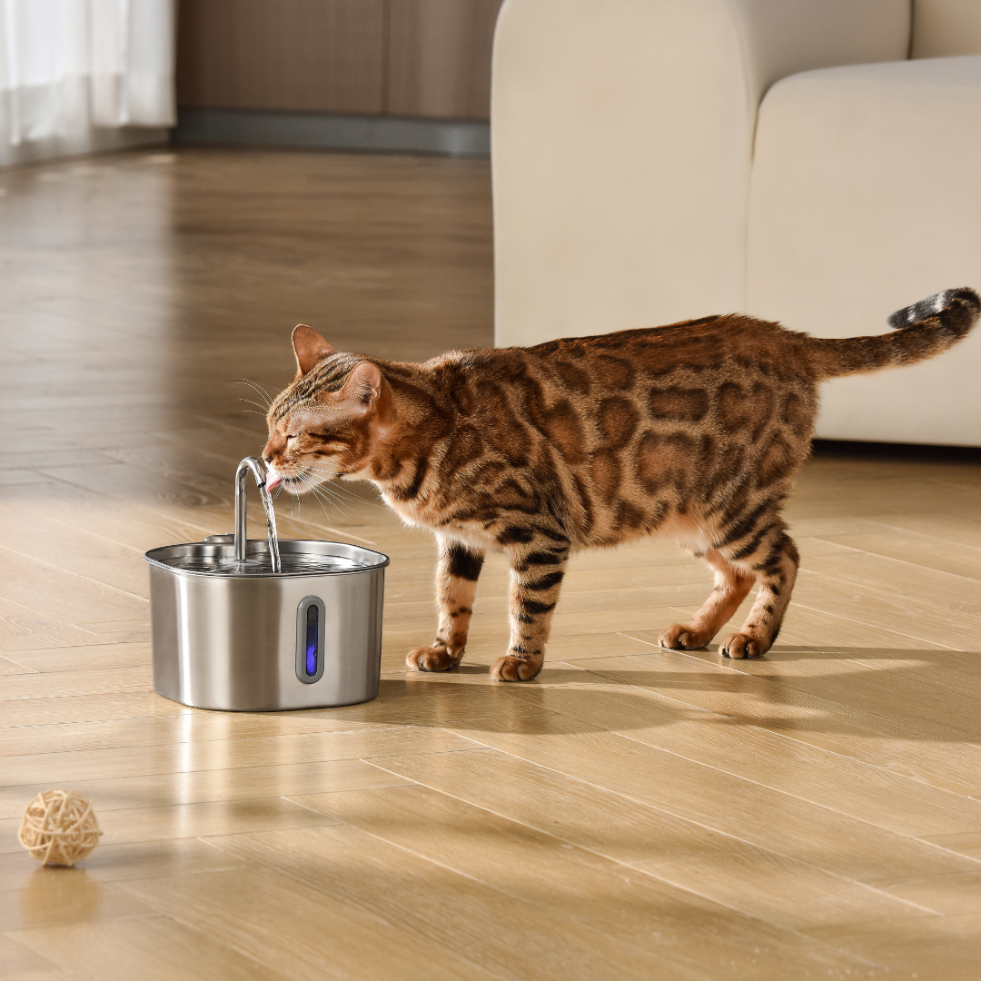 The KittySpout™ - 2.2L Fountain (Bundle)