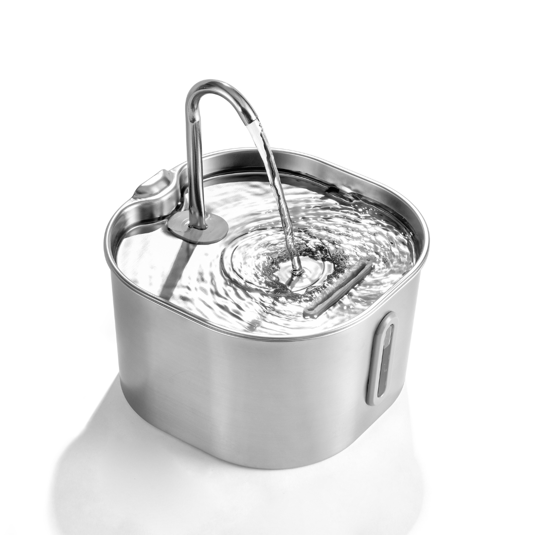 Free Fountain Starter — 6 Months of Filters + Free Shipping