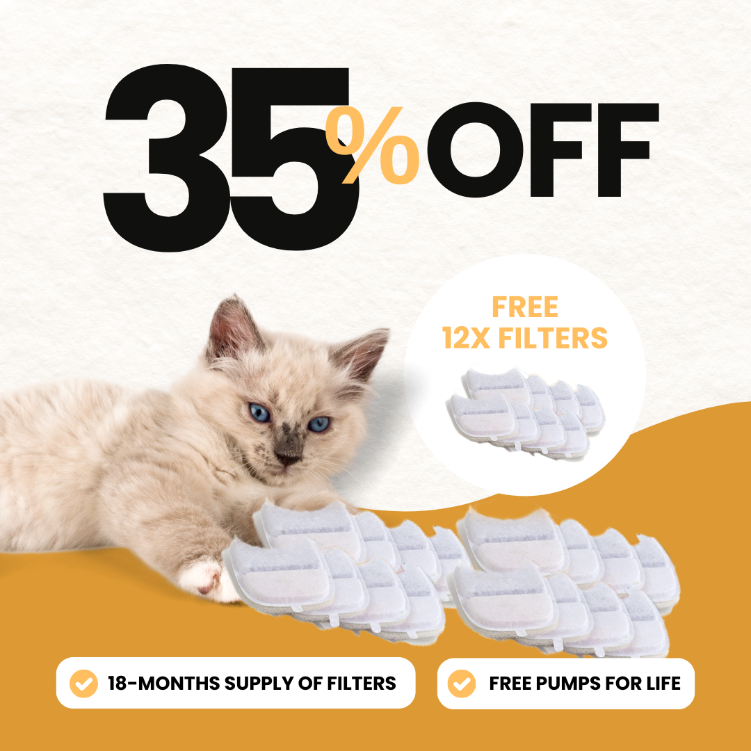 Refurbished 24x Filter Sets + 12x FREE - Wireless Filters