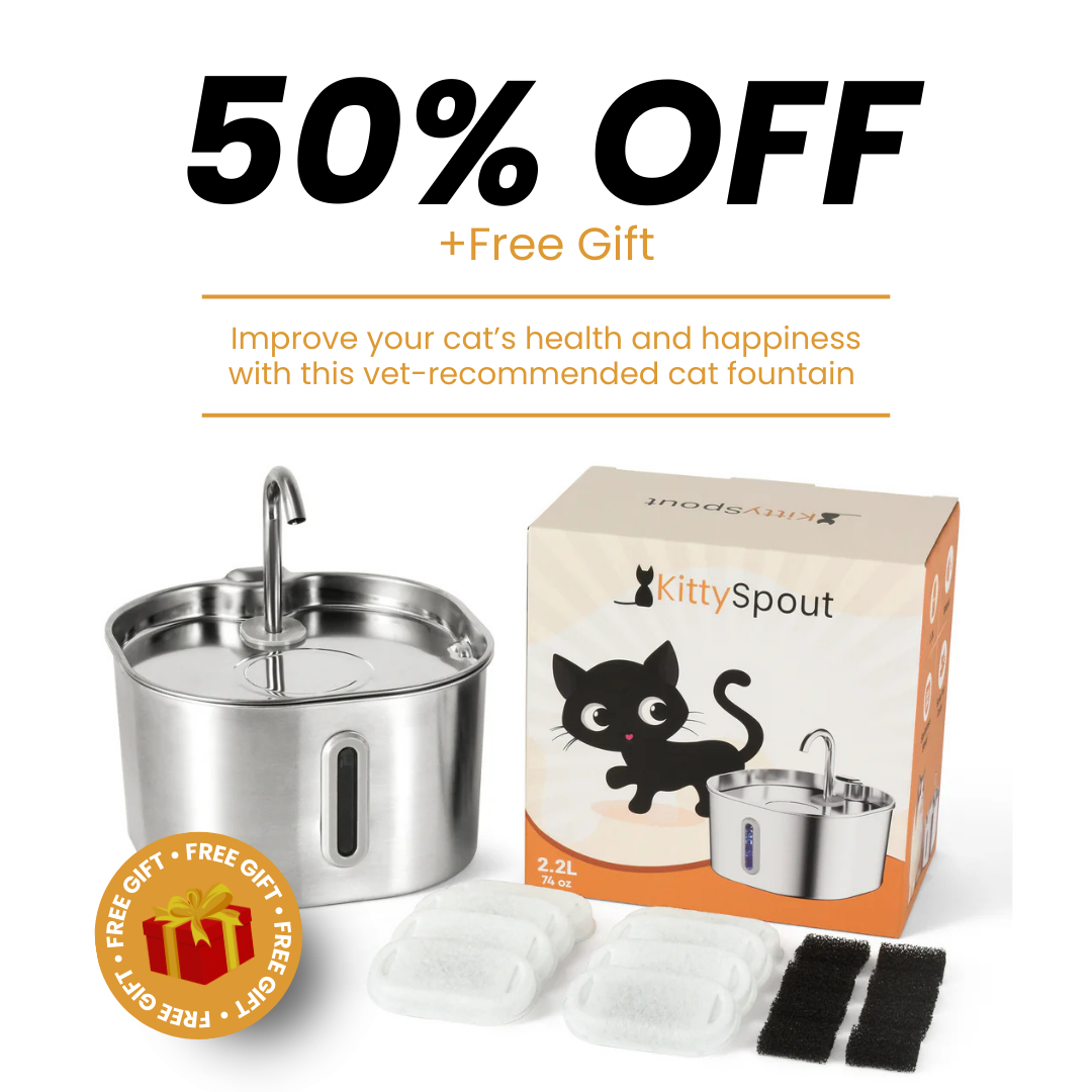 The KittySpout™ - Health & Happiness Cat Kit