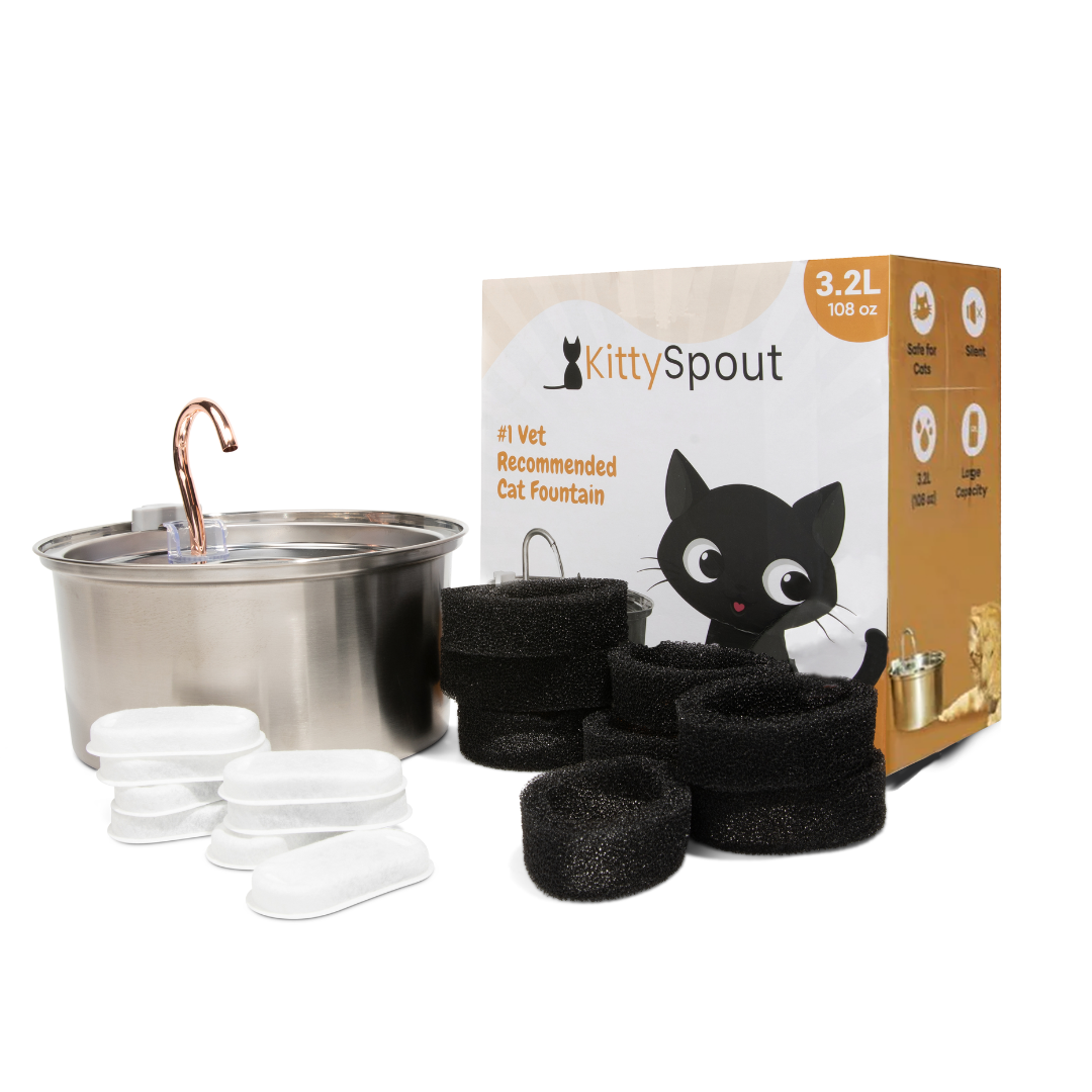 The KittySpout™ 3.2L - Health & Happiness Cat Kit