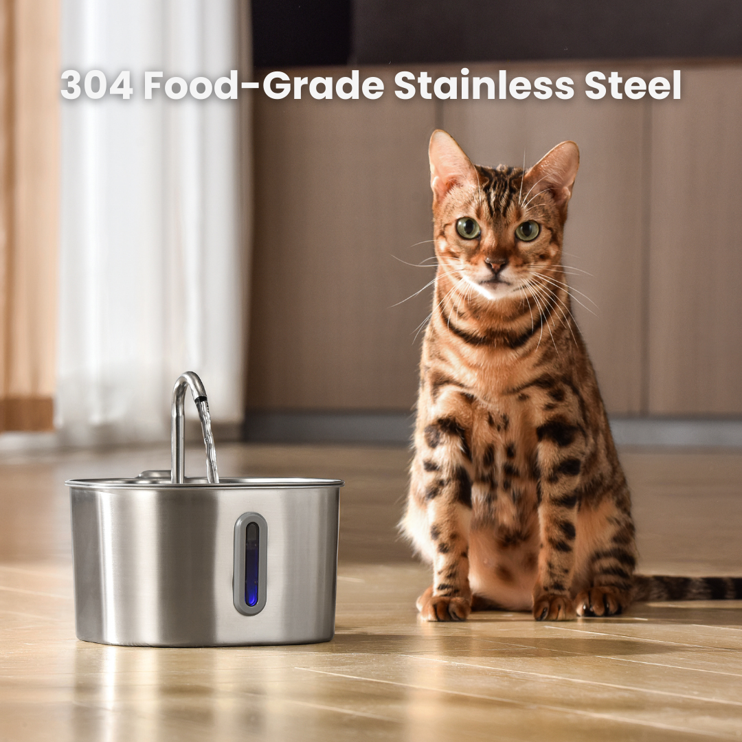 Free Fountain Starter — 6 Months of Filters + Free Shipping
