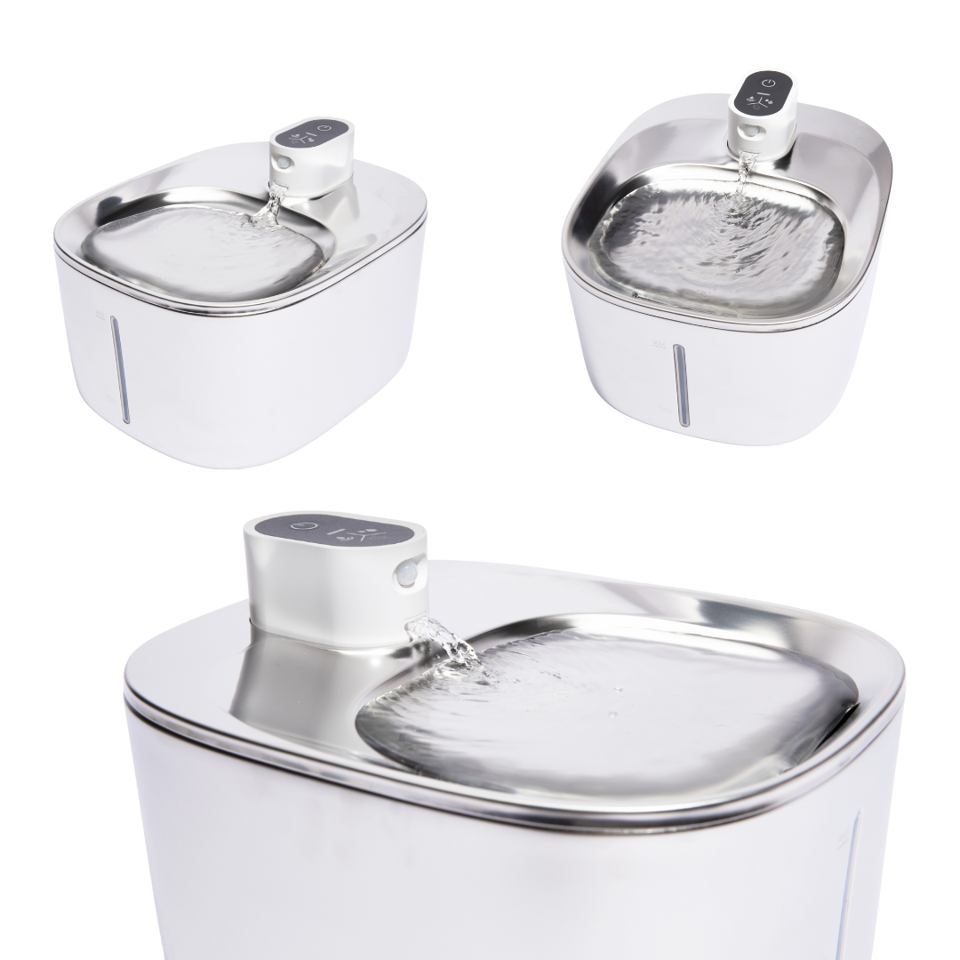 New The KittySpout - Wireless Fountain - 4 Month: Wireless KittySpout + 8 filter sets + free gift