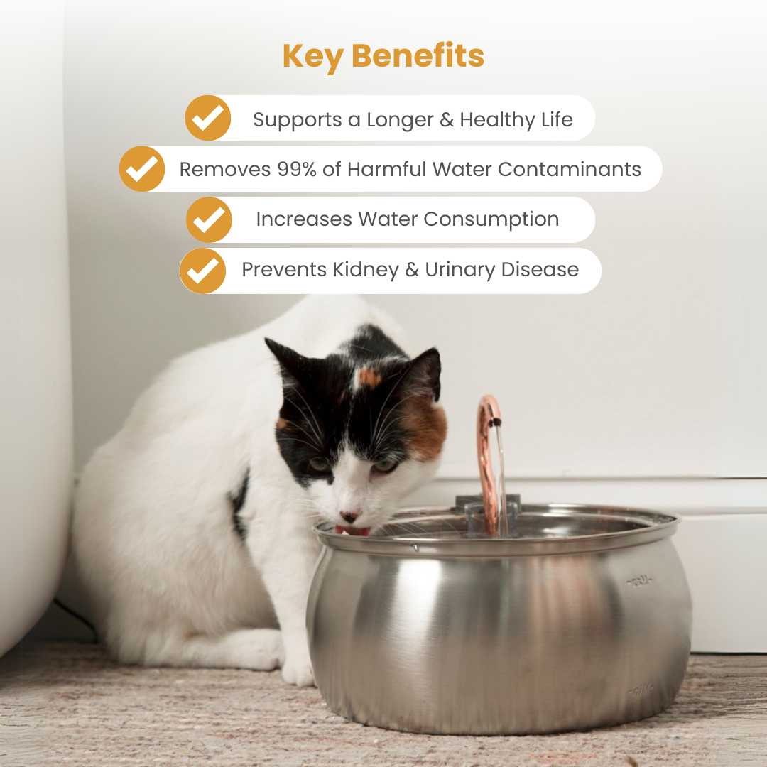 The KittySpout™ - 4L Fountain