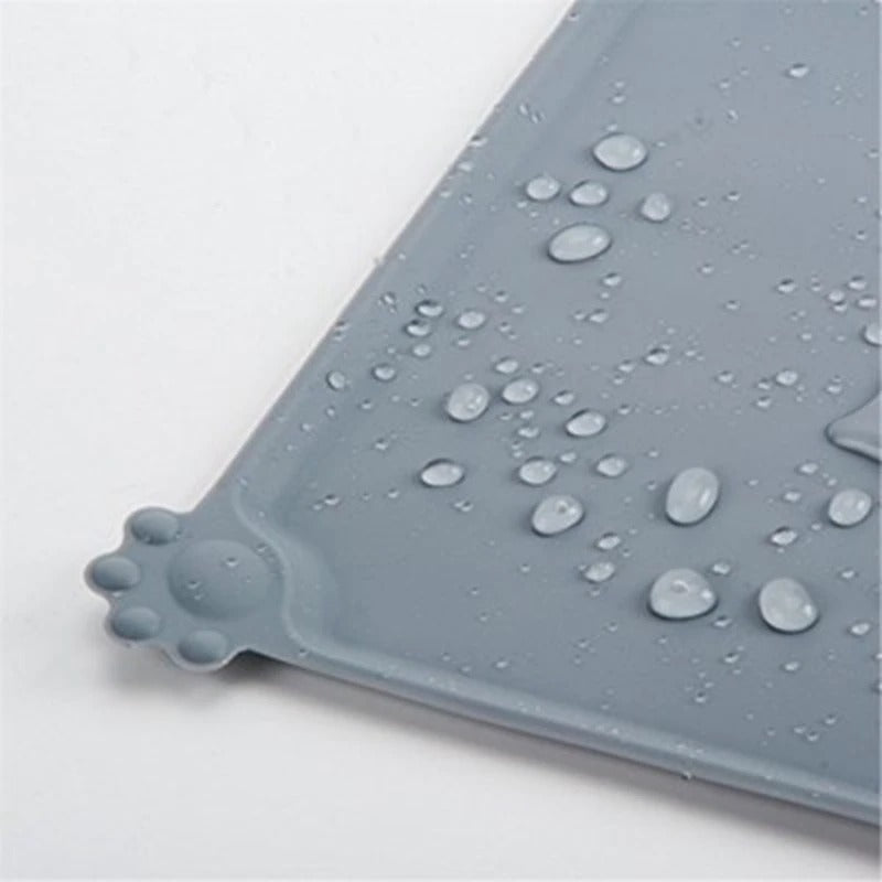 Anti-Splash Mat + Free Pumps for Life Bundle