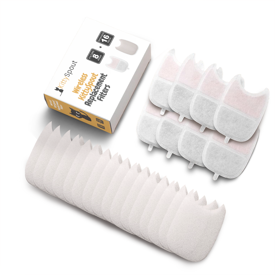 Wireless KittySpout Replacement Filters - 2-month Subscription