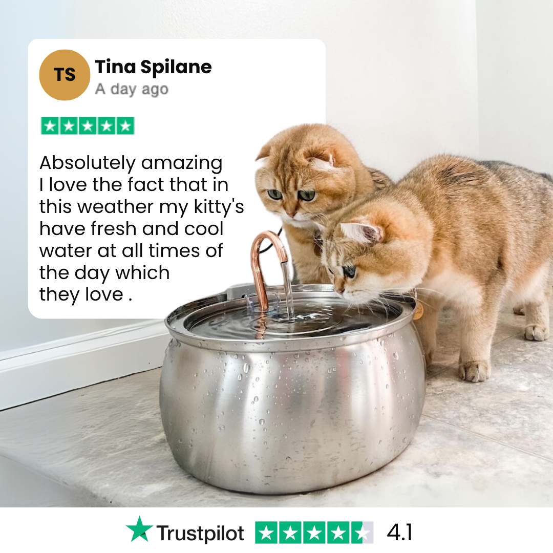 The KittySpout™ - 4L Fountain