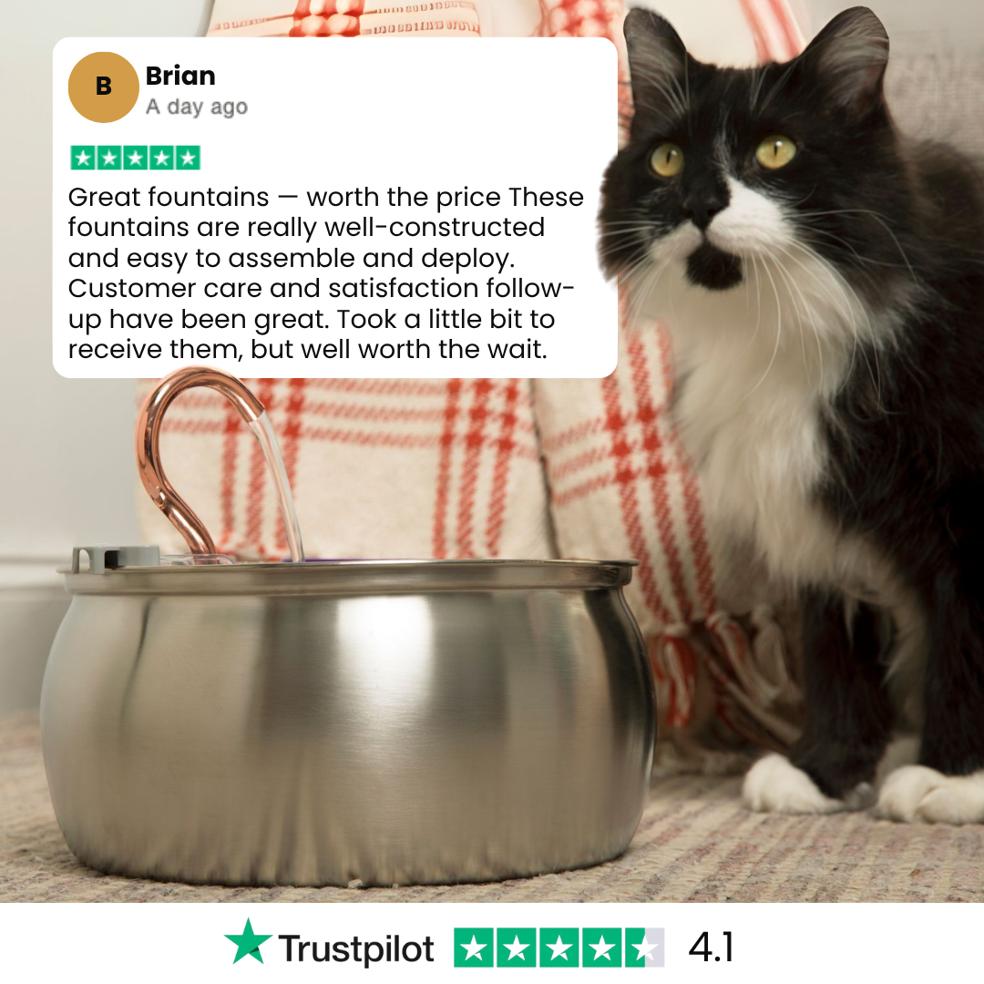 The KittySpout™ - 4L Fountain