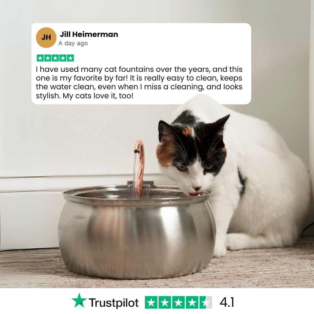 The KittySpout™ - 4L Fountain