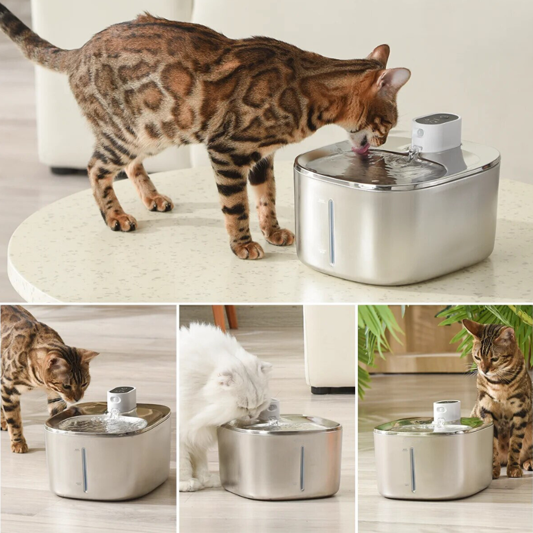 Wireless KittySpout Replacement Filters - 2-month Subscription