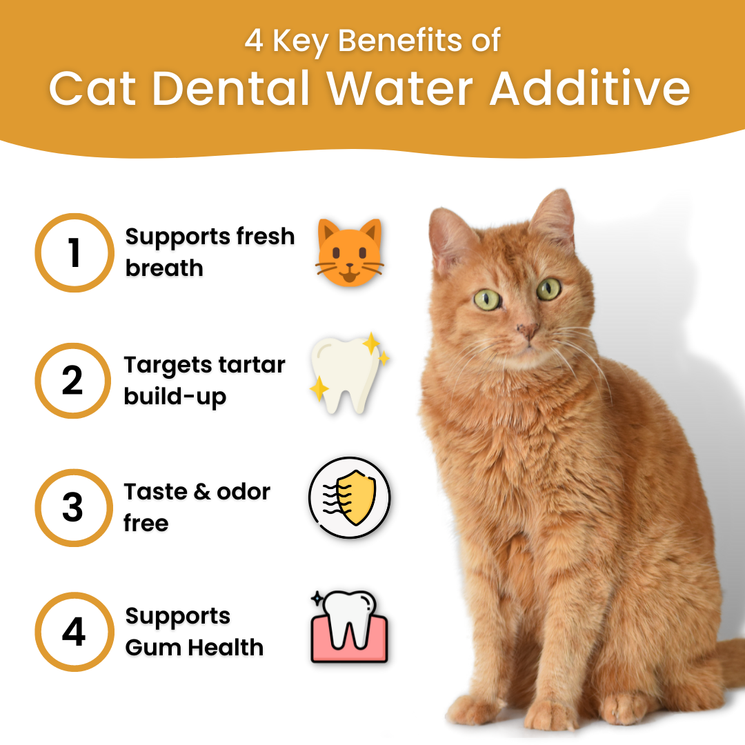 Free Dental Care Additive