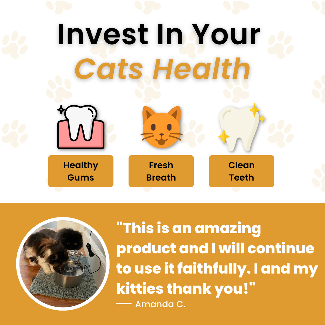 Free Dental Care Additive