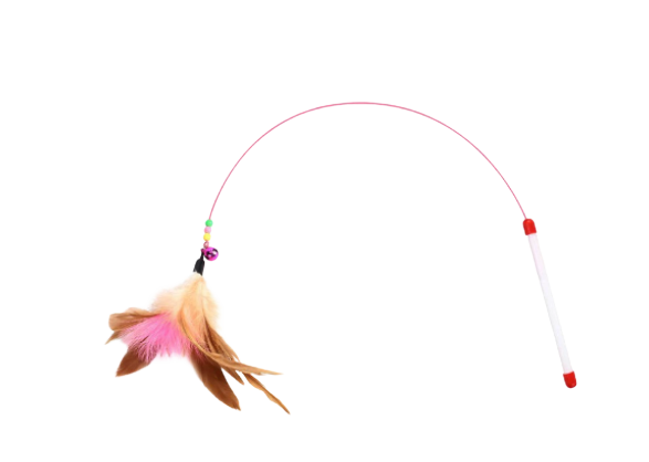 Free Cat Toy
