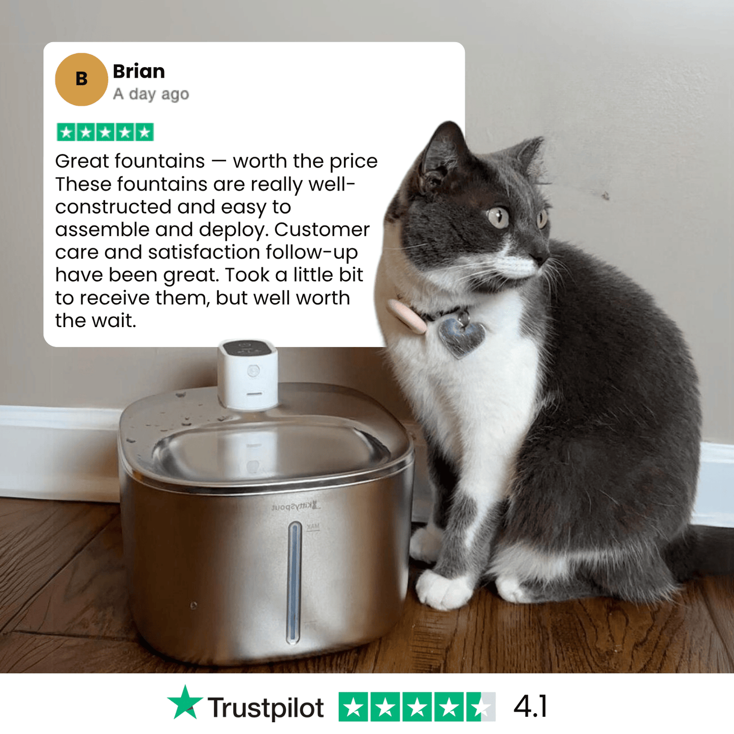 The KittySpout™ - Wireless Fountain