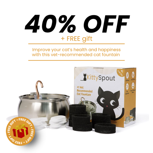 The KittySpout™ - 4L Fountain