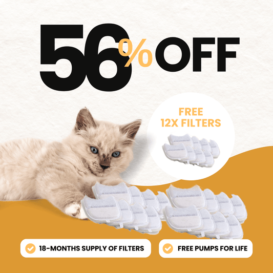 24x Filter Sets + 12x FREE - Wireless Filters Offer