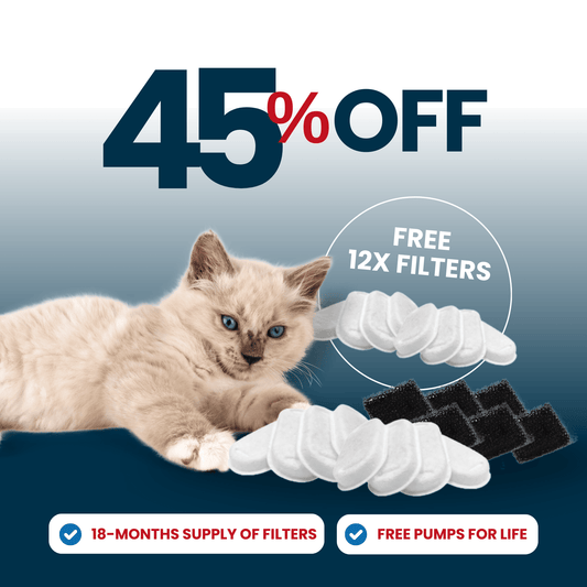 24x Filter Sets + 12x FREE - Filters for Wireless 2.0 and 2.2L