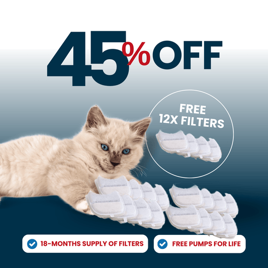 24x Filter Sets + 12x FREE - Wireless Filters