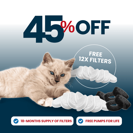 24x Filter Sets + 12x FREE