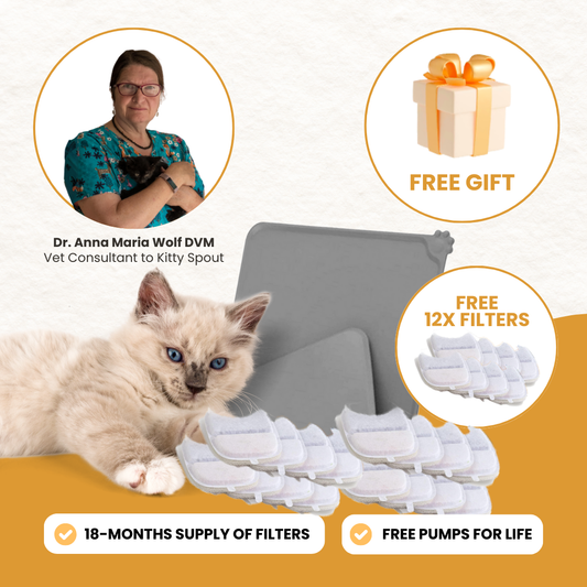 Like New Dr. Anna Maria Wolf's Complete Hydration Kit (WF)