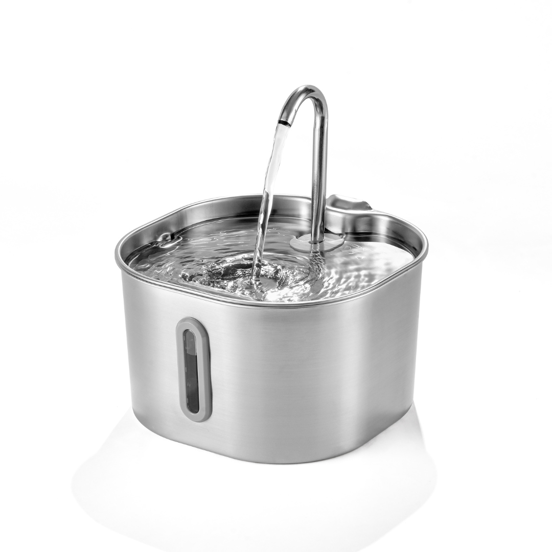 Free Fountain Starter — 6 Months of Filters + Free Shipping