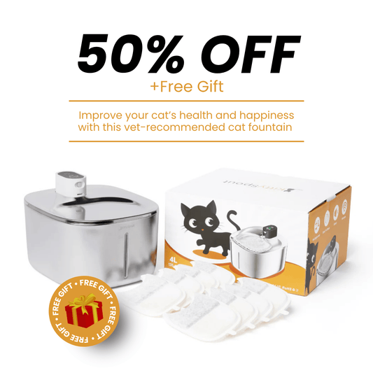 The KittySpout™ - Wireless Fountain