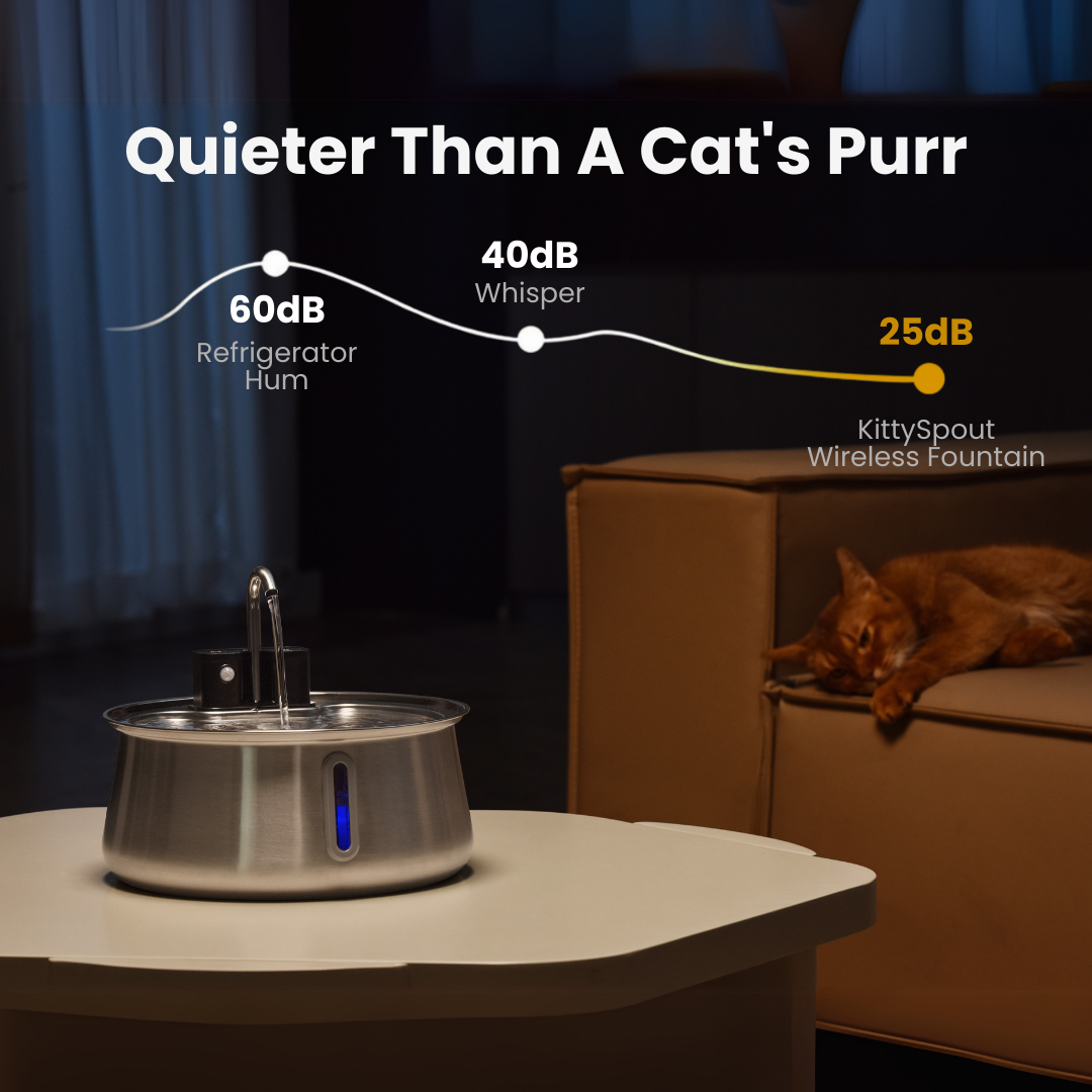 Wireless 2.0 KittySpout Value Bundle