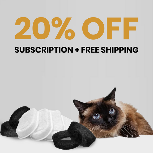 Stainless Steel Replacement Filters Subscribe offer