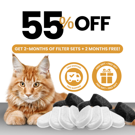 4x Filter Sets + 4x FREE Filters