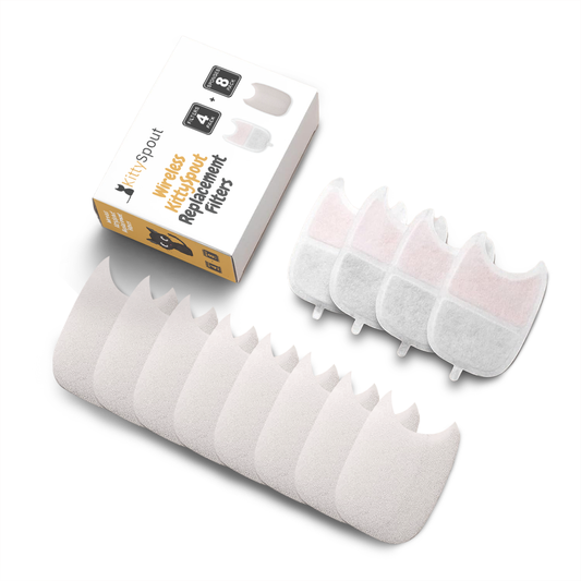 Wireless KittySpout Replacement Filters - 2-month Subscription