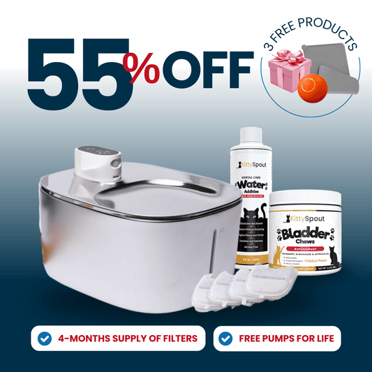 Wireless Hydration & Health Bundle