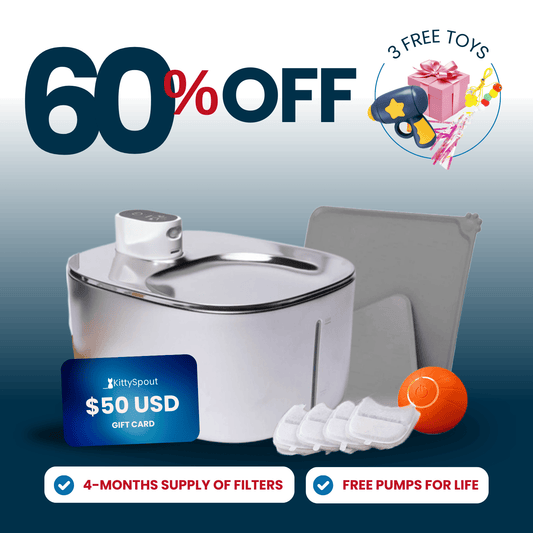 Wireless Hydration & Playtime Value Bundle