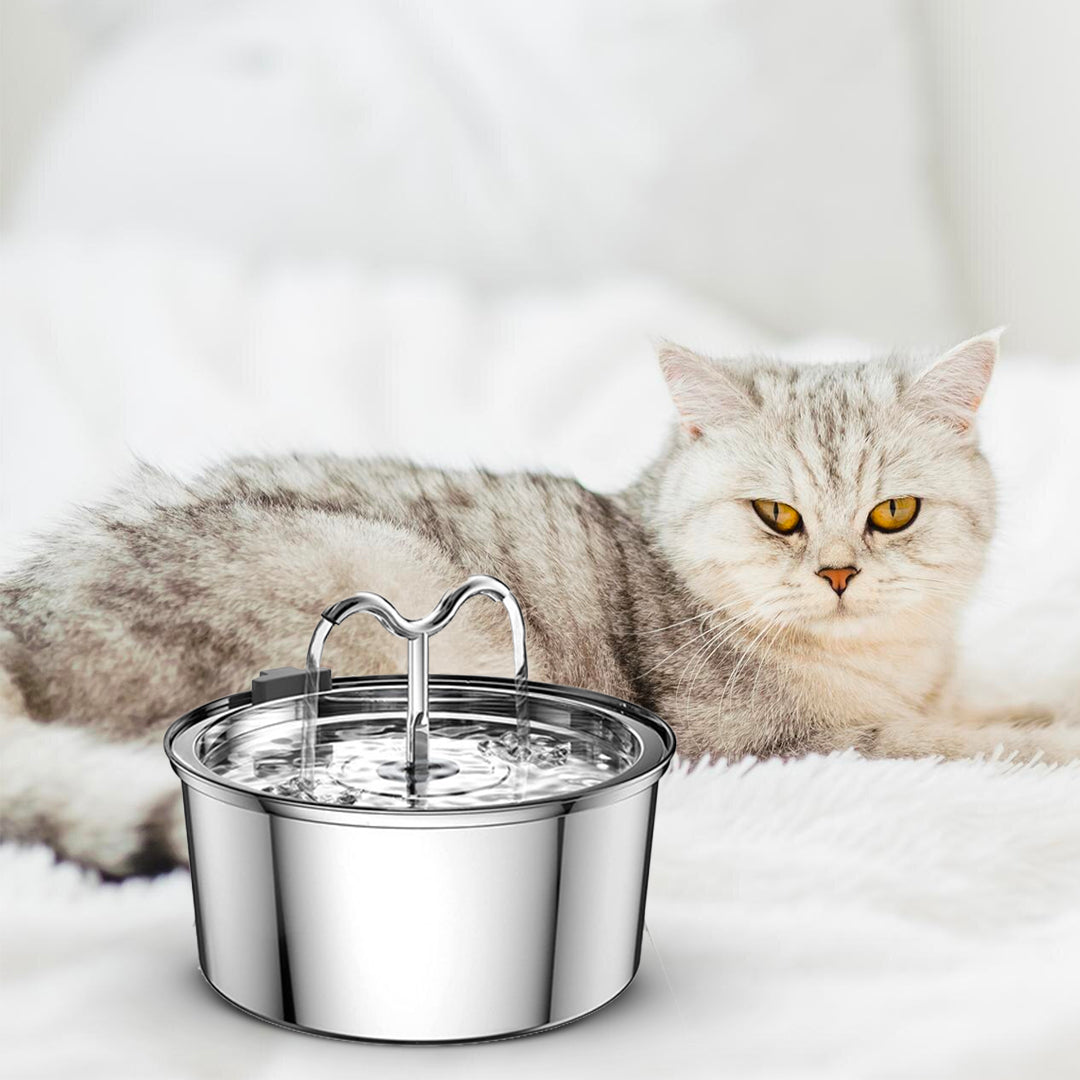The KittySpout™ - TwinFlow Fountain