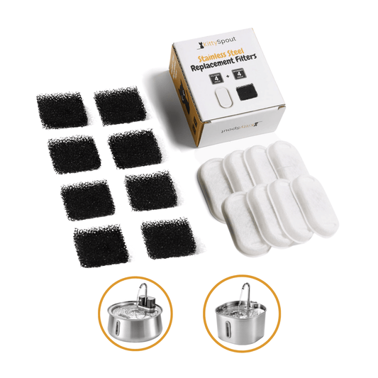 4-month 2.2L Filter Topup + Free Gift
