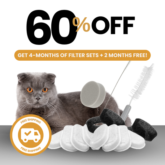 8x Filter Sets + 4x FREE Filters + FREE gift