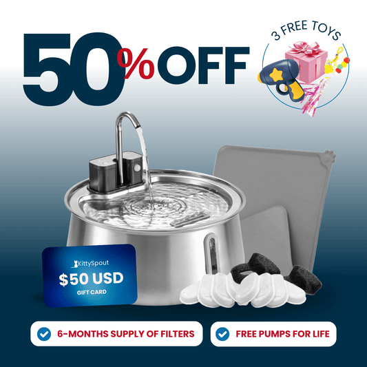 Wireless 2.0 KittySpout Value Bundle