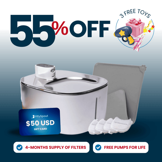 Wireless KittySpout Value Bundle