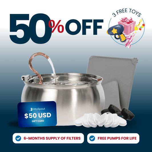 KittySpout Value Bundle