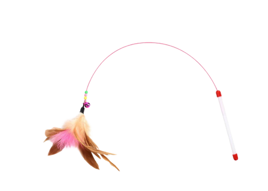 Free Cat Toy