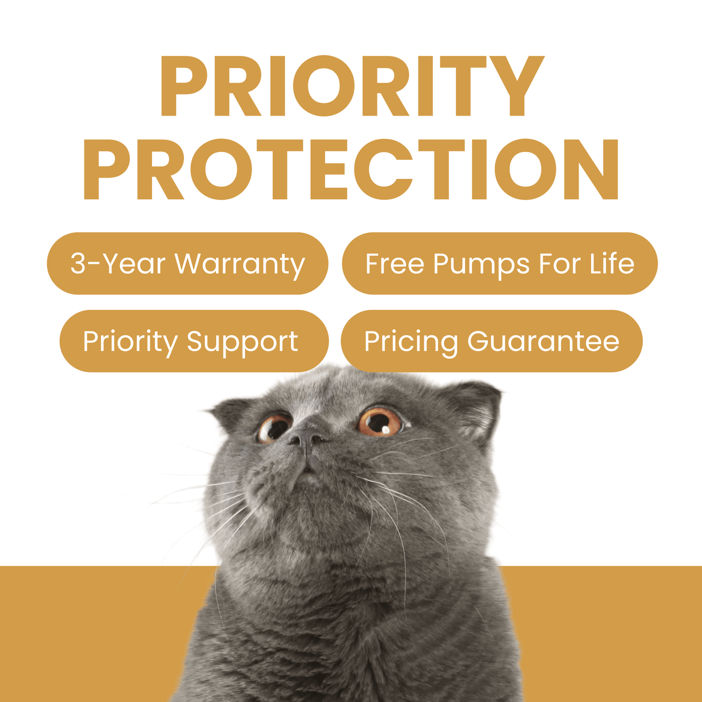 Priority Protection